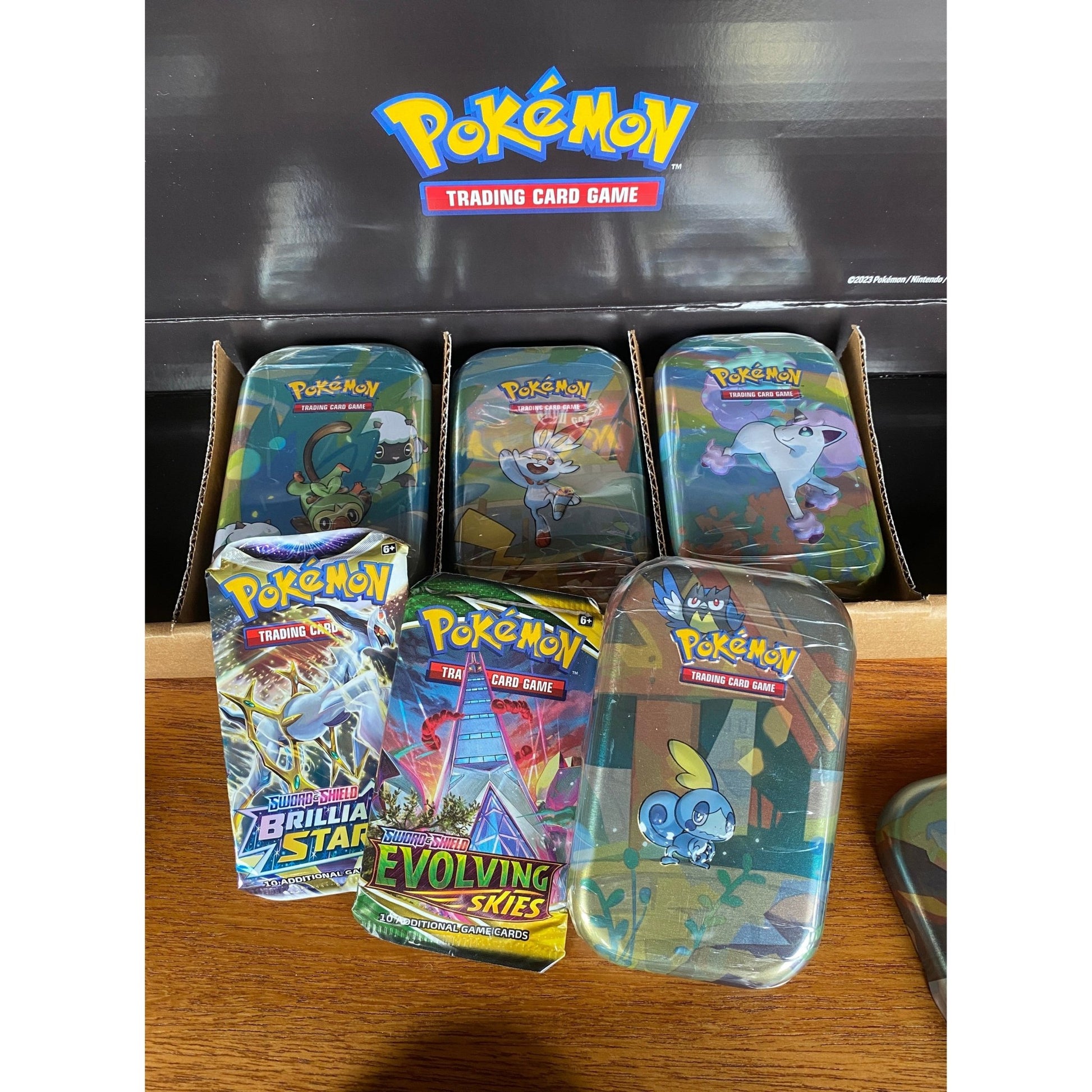 Galar Pals Mini Tin (EN) (Evolving Skies + Brilliant Stars) - Charicards Inh. Christian Jandt